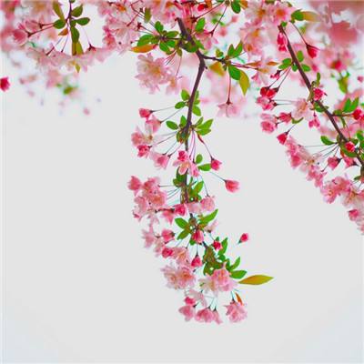 闪击骑士团1.4.0游戏下载